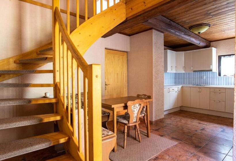 Апартаменты Superior 1 Спальня, Penzion Orlov