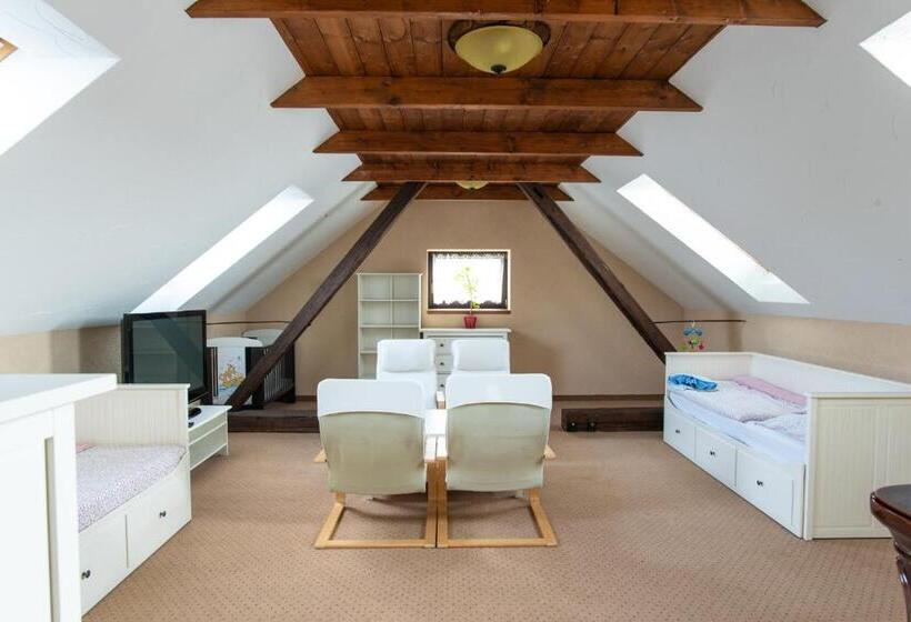 Апартаменты Superior 1 Спальня, Penzion Orlov