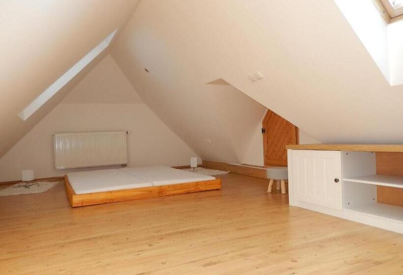 Апартаменты 1 Спальня, Penzion Orlov