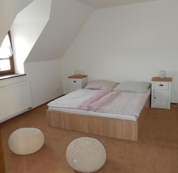 Апартаменты 1 Спальня, Penzion Orlov