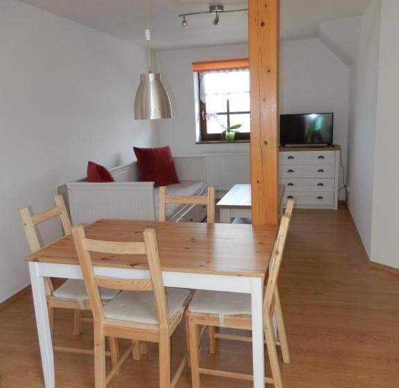 Апартаменты 1 Спальня, Penzion Orlov