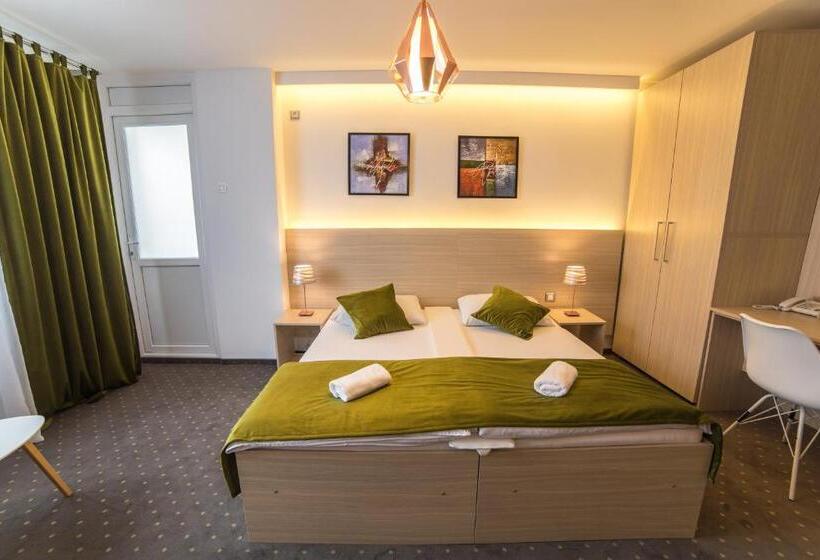 اتاق استاندارد یک نفره, Tehnograd