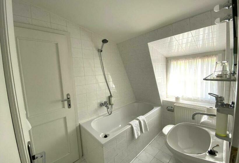 اتاق استاندارد با چشمانداز کوهستان, Zámeček Na čeladné