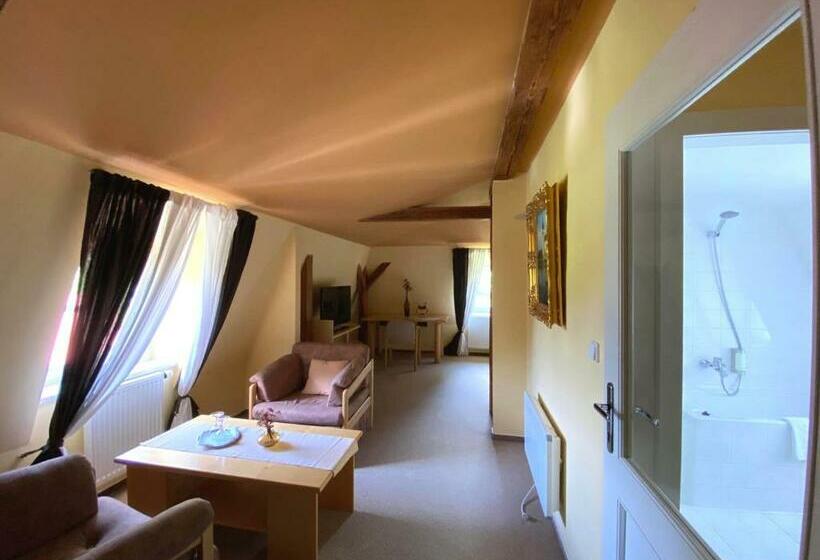 اتاق استاندارد با چشمانداز کوهستان, Zámeček Na čeladné