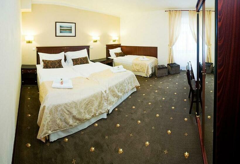 Номер Стандарт Трехместный, & Apartments U černého Orla