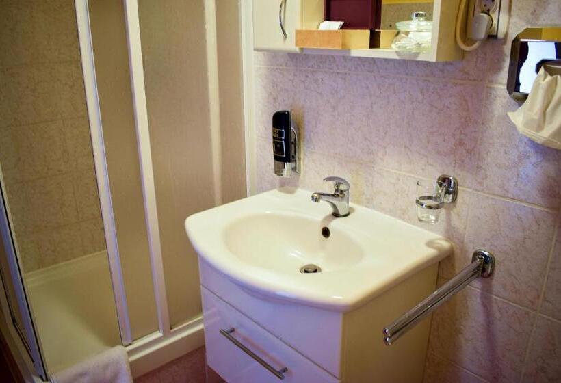 غرفة قياسية, Penzion Rak