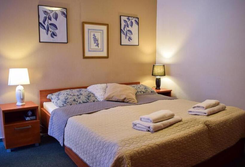 غرفة قياسية, Penzion Rak