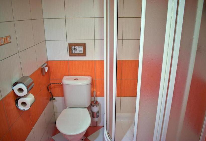 غرفة قياسية مزوَّدة بشُرفة, Penzion Rak