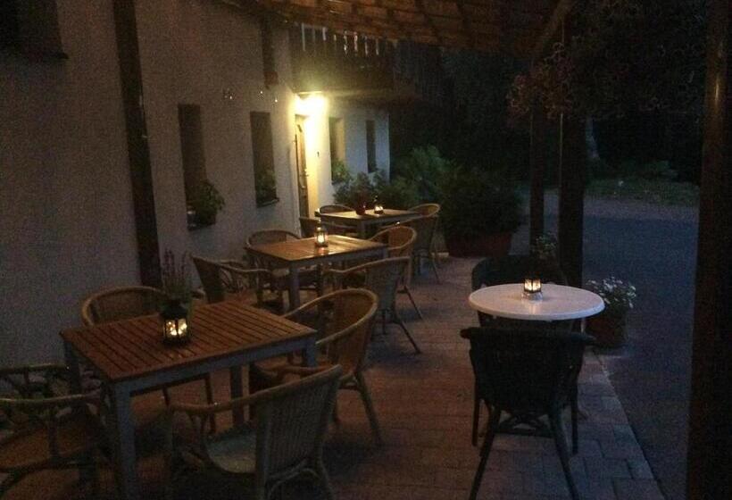 חדר סטנדרט נוף לגינה, Pension Aura špičák, Některé Pokoje Se Saunou