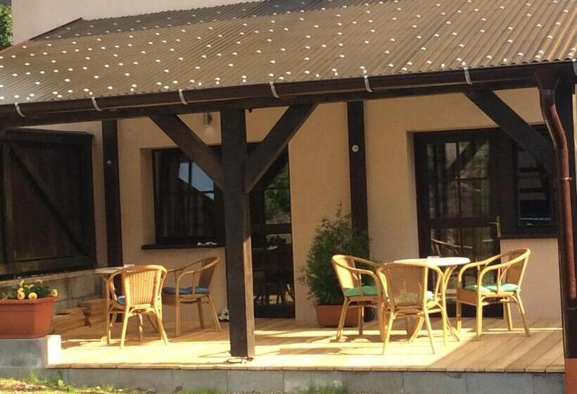 חדר סטנדרט עם מיטת קינג, Pension Aura špičák, Některé Pokoje Se Saunou