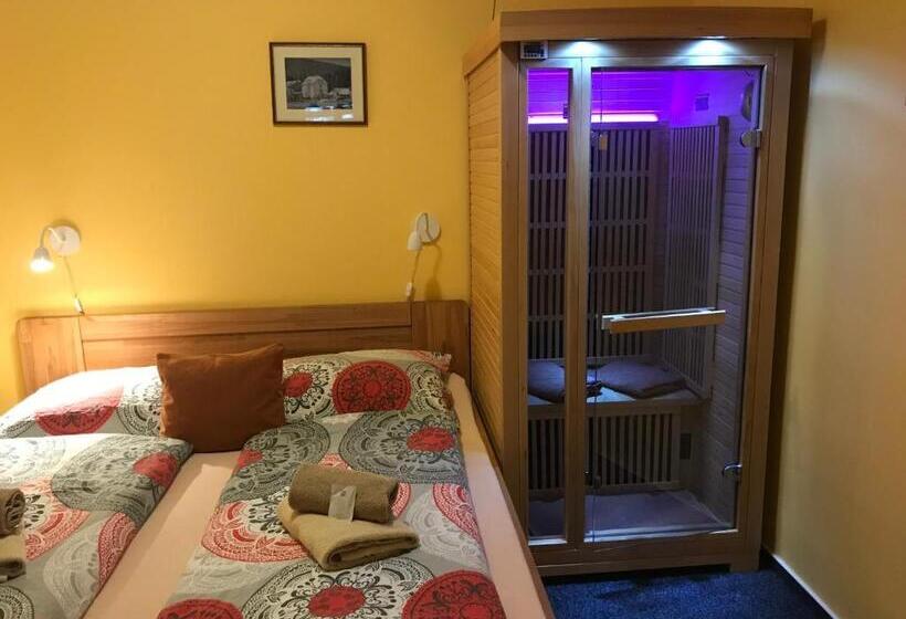 חדר סטנדרט, Pension Aura špičák, Některé Pokoje Se Saunou