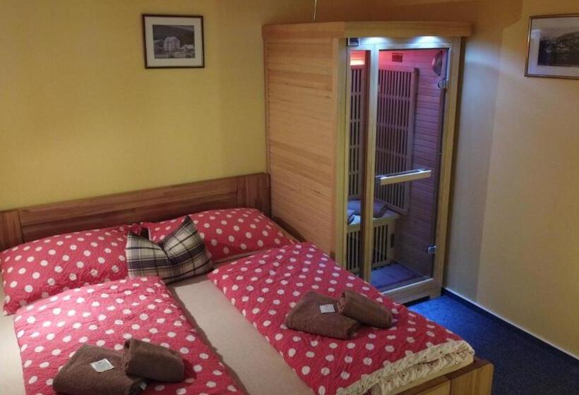 חדר סטנדרט, Pension Aura špičák, Některé Pokoje Se Saunou