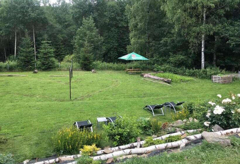 חדר סטנדרט, Pension Aura špičák, Některé Pokoje Se Saunou