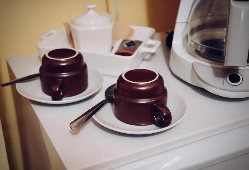 חדר סטנדרט נוף לגינה, Pension Aura špičák, Některé Pokoje Se Saunou