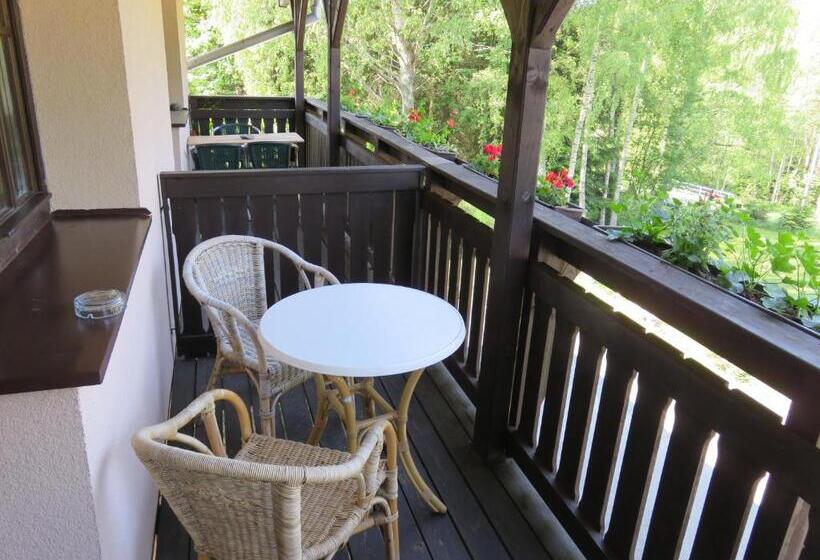 חדר סטנדרט נוף לגינה, Pension Aura špičák, Některé Pokoje Se Saunou