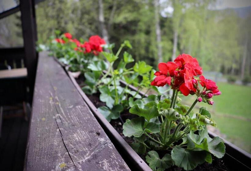 חדר סטנדרט נוף לגינה, Pension Aura špičák, Některé Pokoje Se Saunou