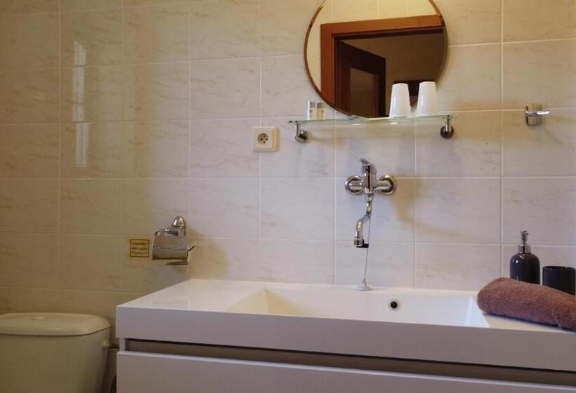 חדר סטנדרט נוף לגינה, Pension Aura špičák, Některé Pokoje Se Saunou