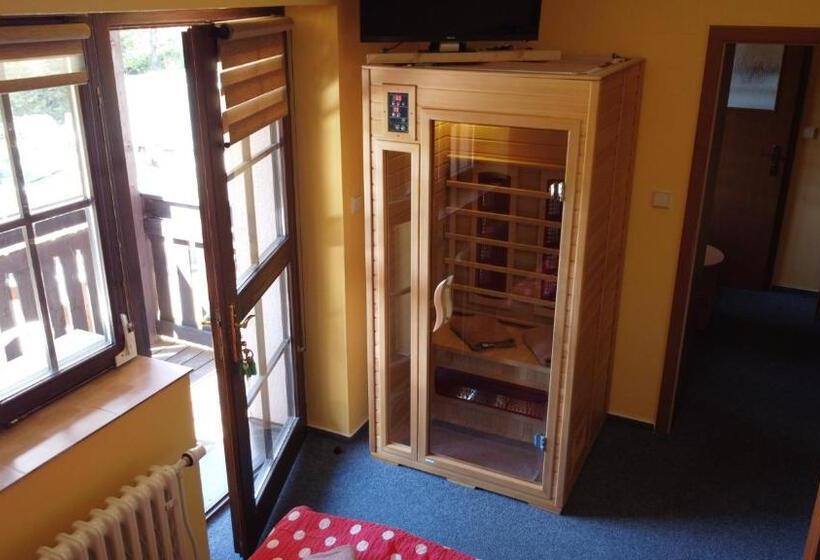 חדר סטנדרט נוף לגינה, Pension Aura špičák, Některé Pokoje Se Saunou