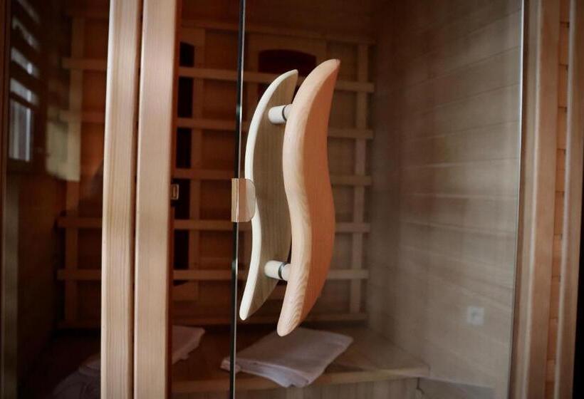 חדר סטנדרט נוף לגינה, Pension Aura špičák, Některé Pokoje Se Saunou