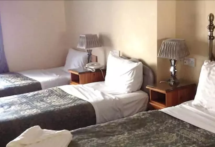 ファミリールーム, Acorn Guest House