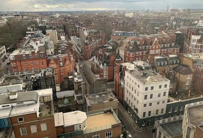 Standard Yhden Hengen Huone, Millennium Hotel London Knightsbridge