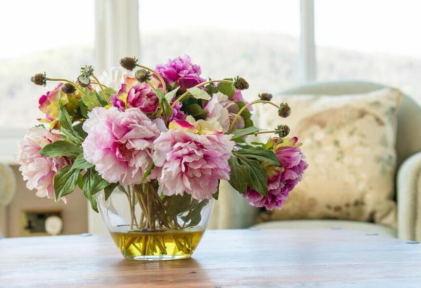 산전망 스위트 디럭스, Plas Maenan