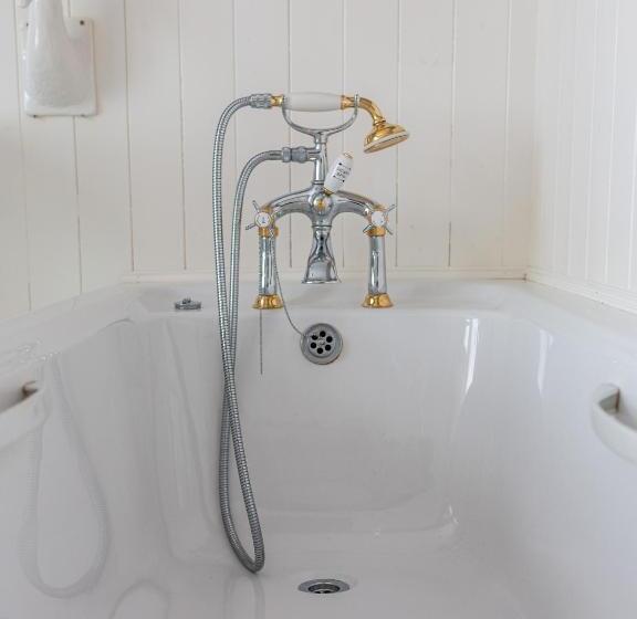 패밀리 룸, Plas Maenan