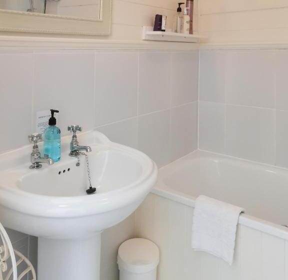 스탠다드 룸, Plas Maenan