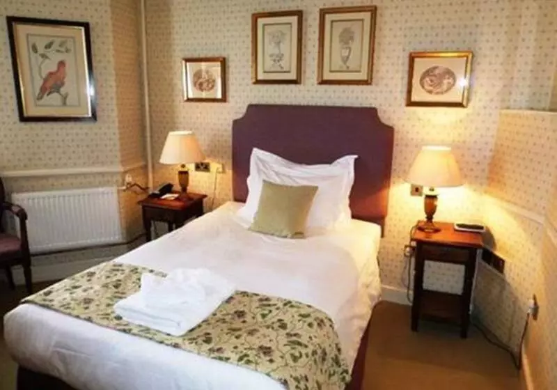 Chambre Standard Individuelle, The Bear