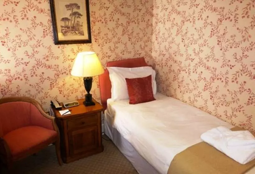 Chambre Standard Individuelle, The Bear