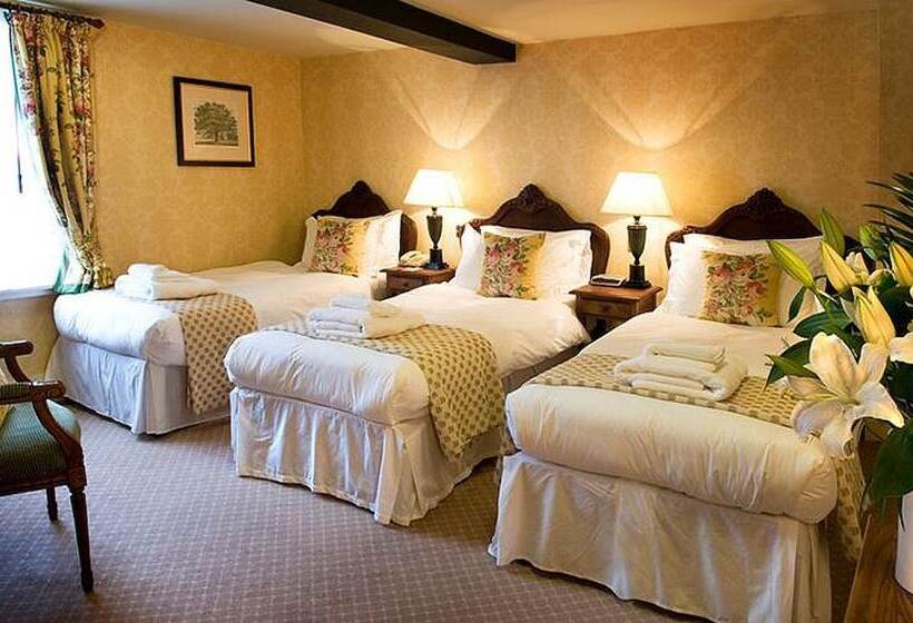 חדר סטנדרט לשלושה, The Bear