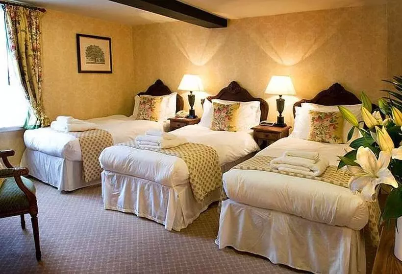 Chambre Triple Standard, The Bear