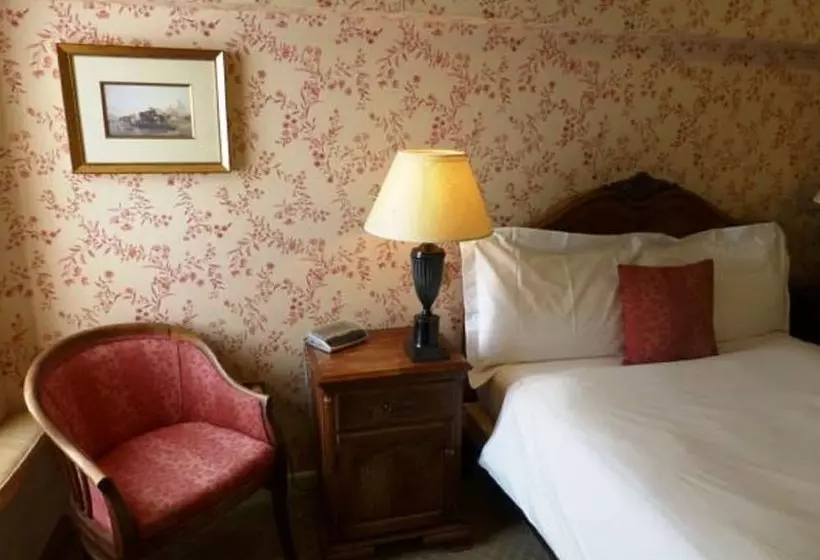 Chambre Individuelle Executive, The Bear