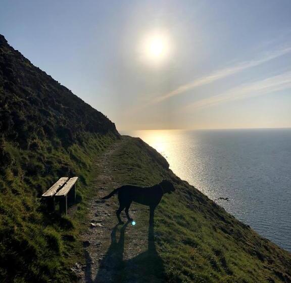 带海景的标准房, The North Cliff