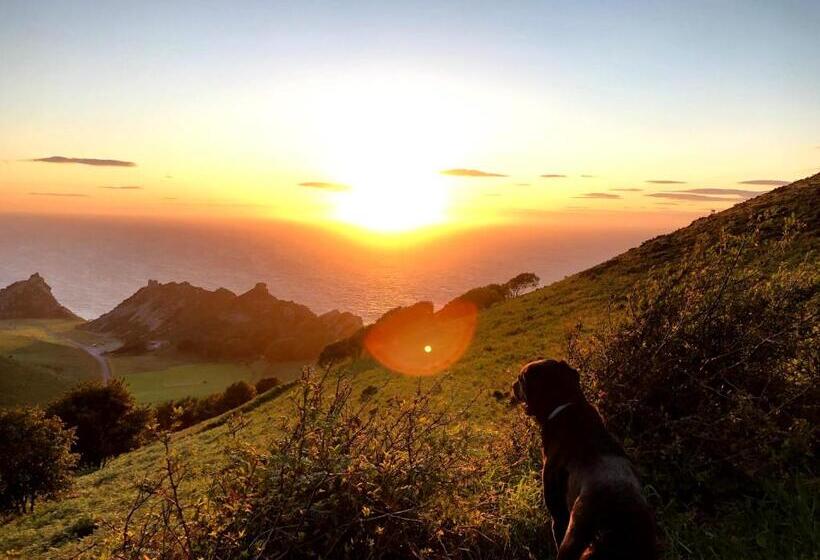 带海景的标准房, The North Cliff
