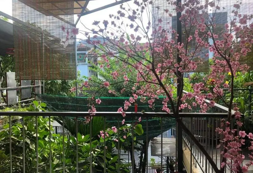 اتاق لوکس, Q  Homestay Garden Villa