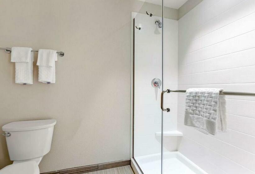 اتاق استاندارد با تخت بزرگ, Best Western Plus Executive Residency Phoenix North Happy Valley