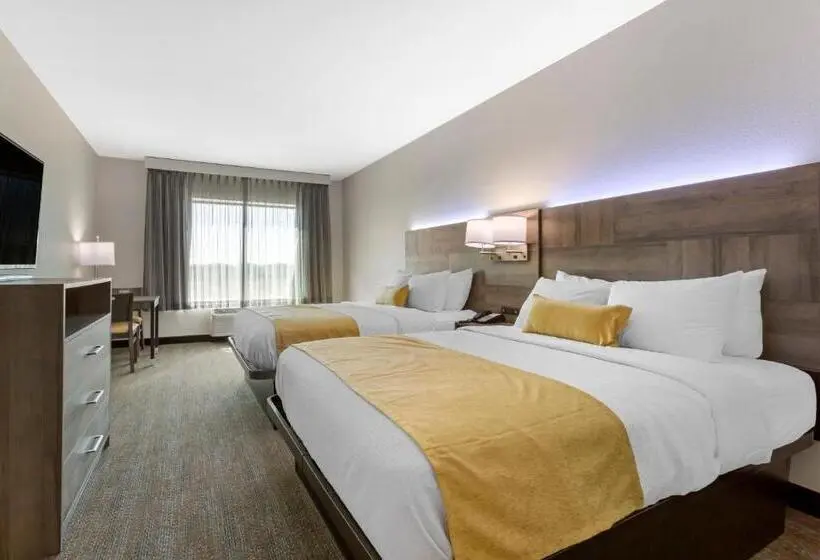 身障者適用スタンダードルーム, Best Western Plus Executive Residency Phoenix North Happy Valley