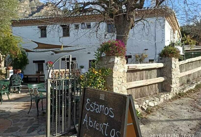 주니어 스위트, Rural Alqueria De Los Lentos