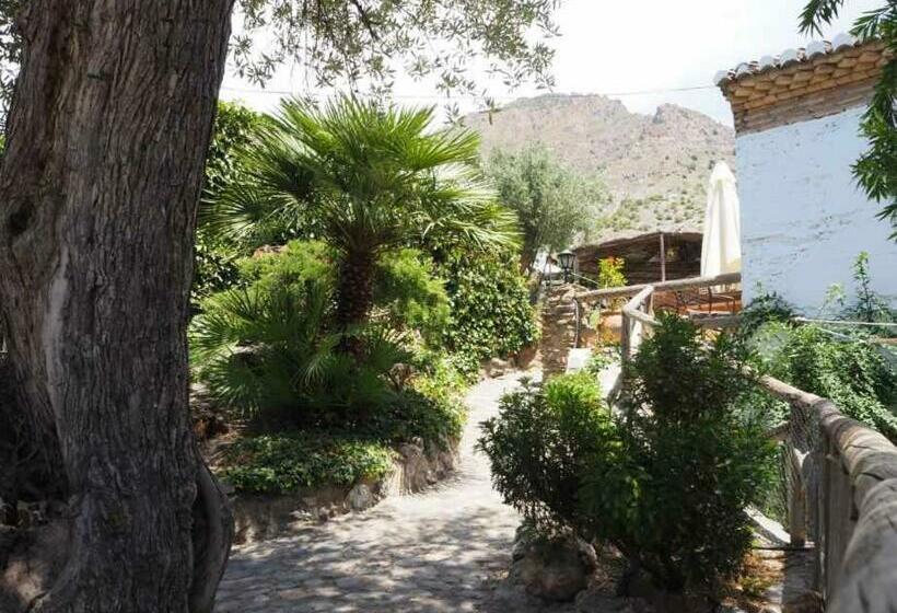 جناح جونيور, Rural Alqueria De Los Lentos