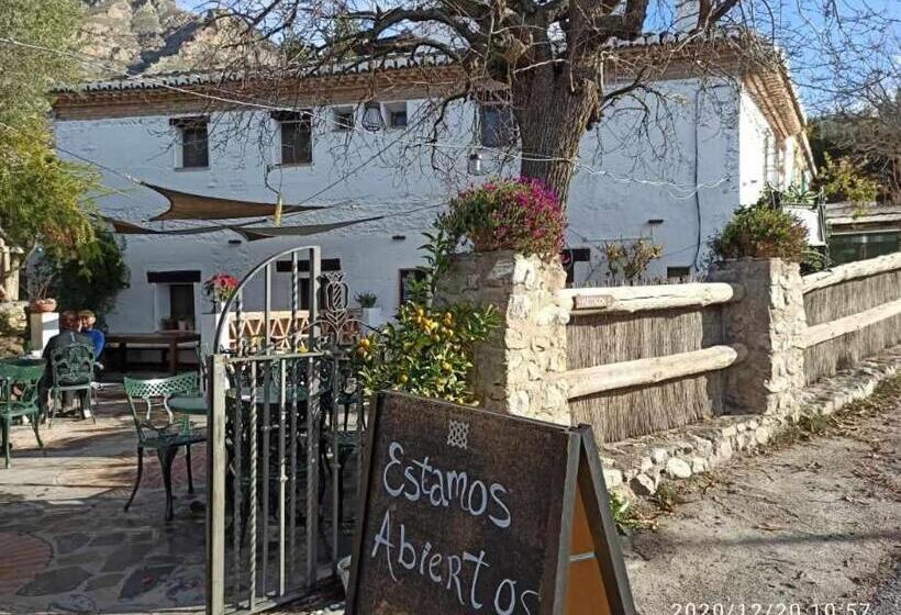 جناح جونيور مطل على الحديقة, Rural Alqueria De Los Lentos
