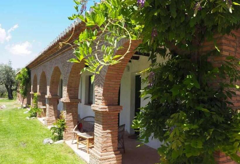 غرفة قياسية, Rural Alqueria De Los Lentos