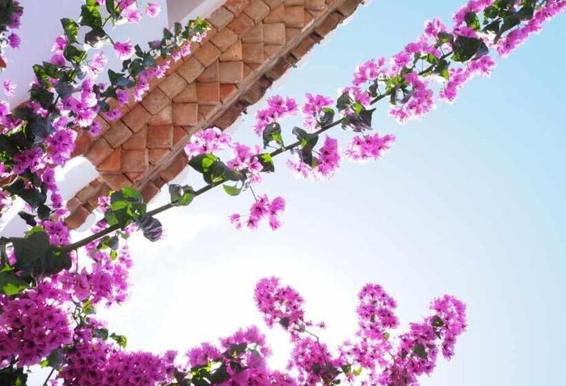 غرفة قياسية, Rural Alqueria De Los Lentos