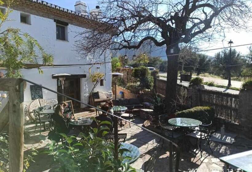 شقة غرفة واحدة مطلة على الحديقة, Rural Alqueria De Los Lentos