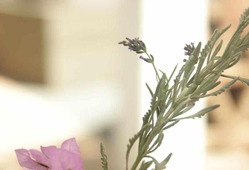 غرفة قياسية, Rural Alqueria De Los Lentos