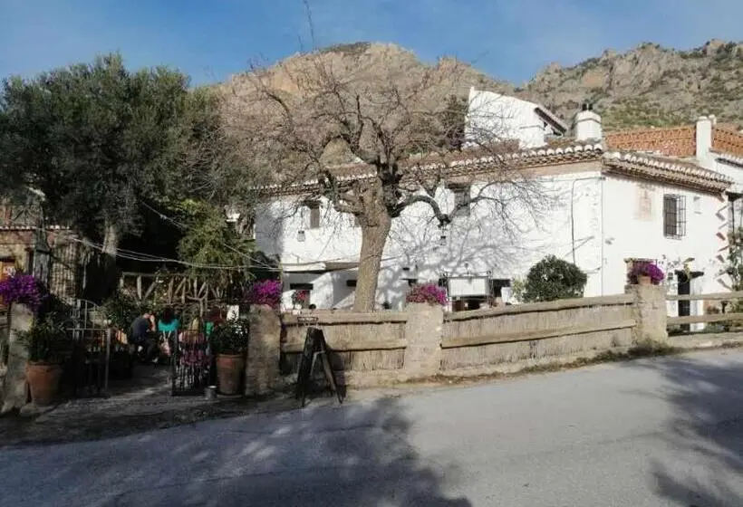 スタンダードルーム, Rural Alqueria De Los Lentos