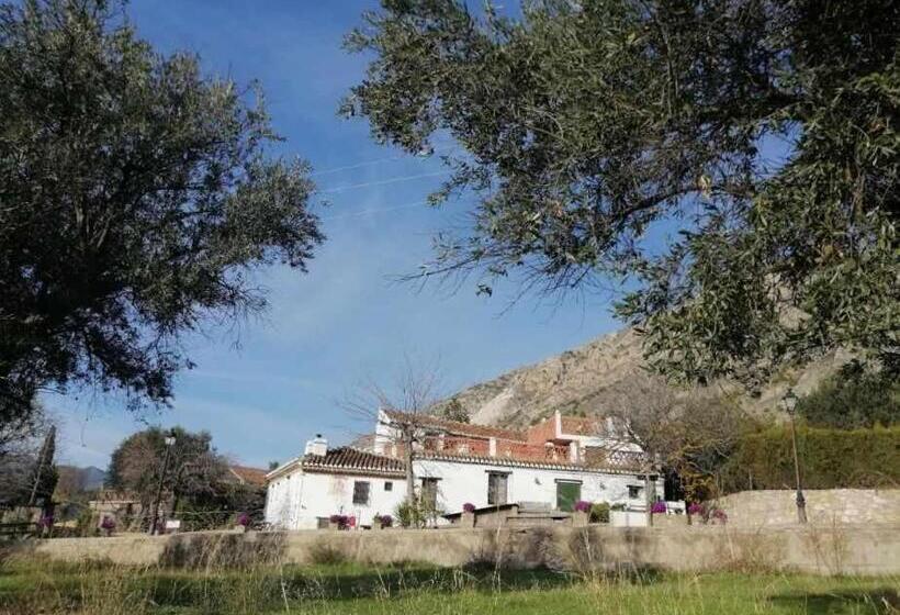 غرفة قياسية, Rural Alqueria De Los Lentos