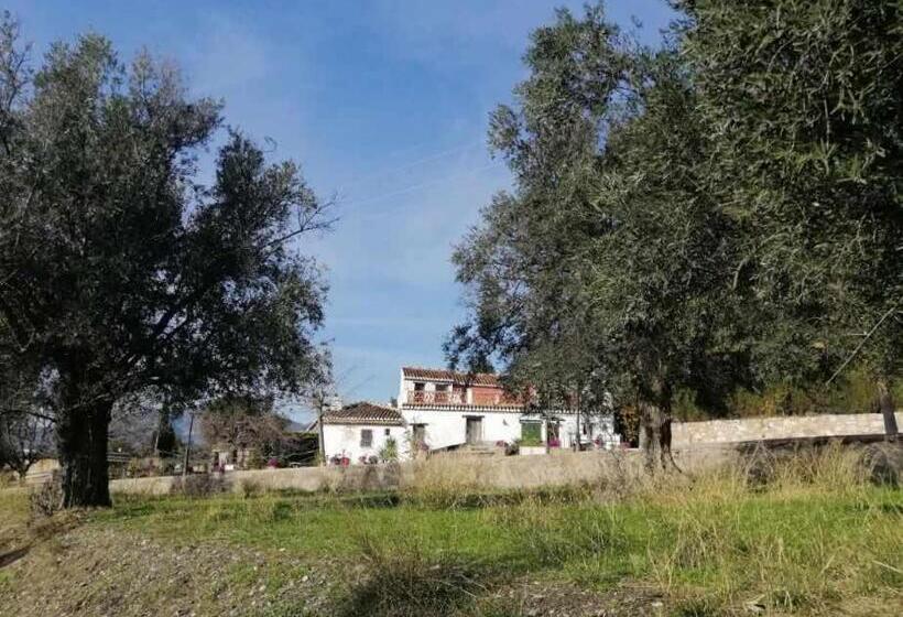 스탠다드 룸, Rural Alqueria De Los Lentos