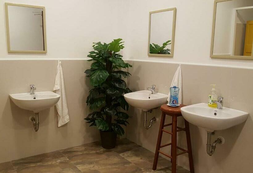 اتاق استاندارد, Citadel Alona Inn