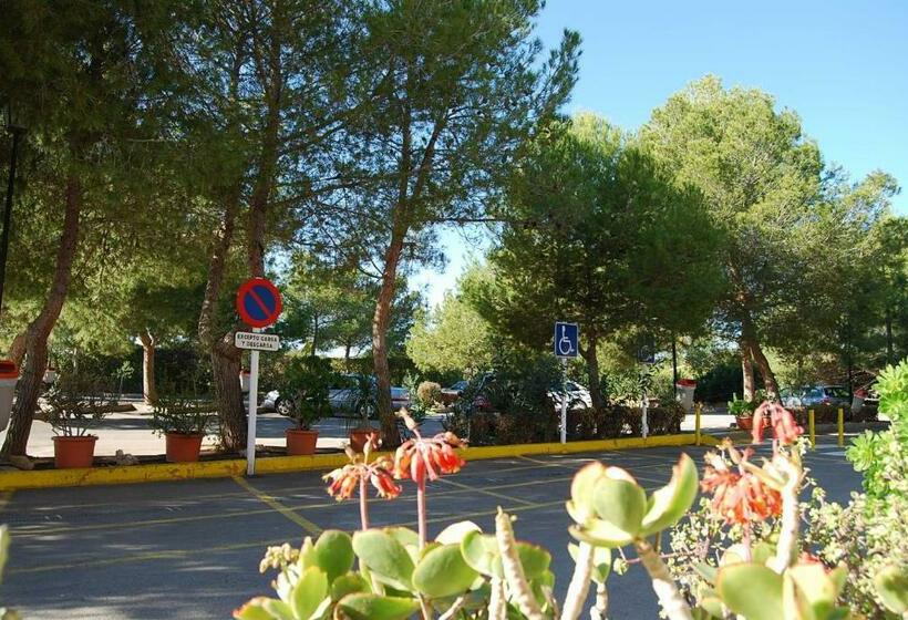 테라스가 있는 2 베드룸 아파트, Palmera Beach